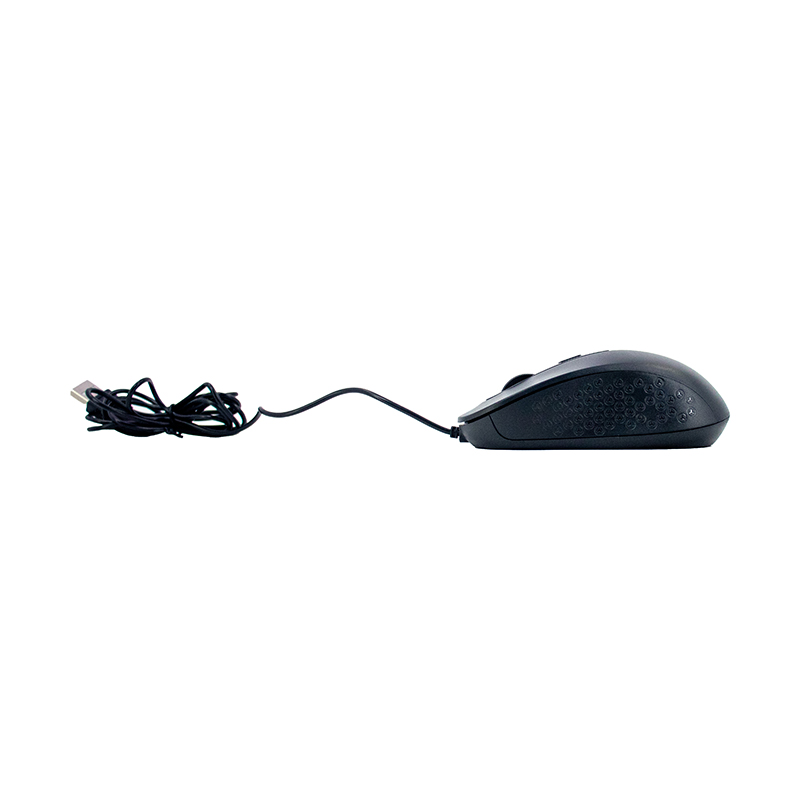 mscbkte1229s_4